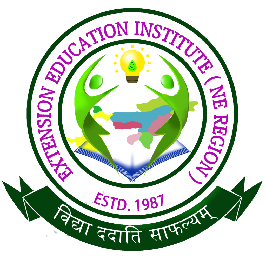 EEI-NER Logo