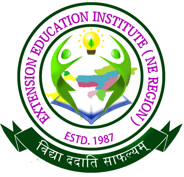 EEI Logo