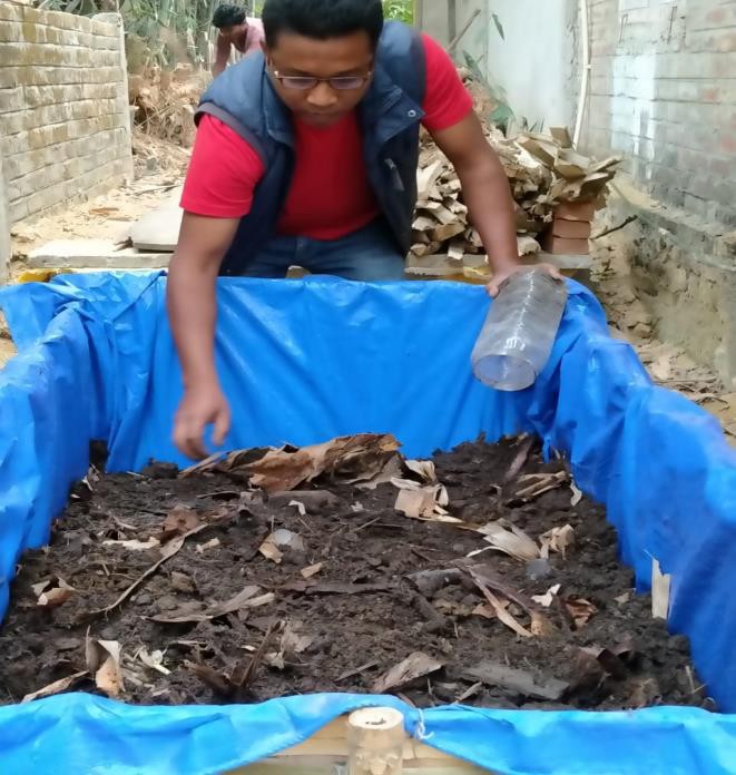 Vermicompost: A way towards entrepreneurship development