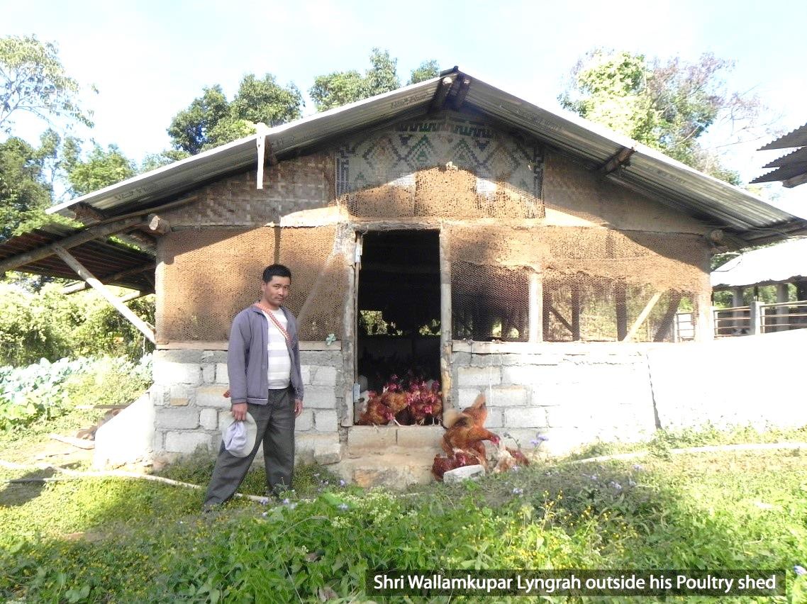 Low cost Poultry Layer shed Innovation developed at Mawsiatkhnam village