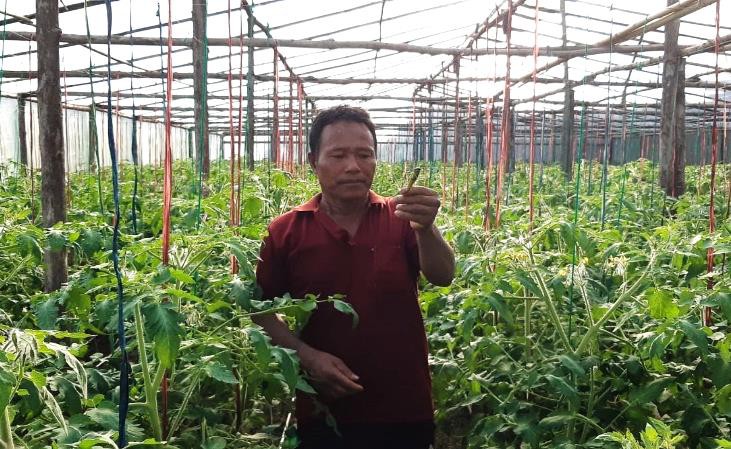 Doubling income through off season vegetables